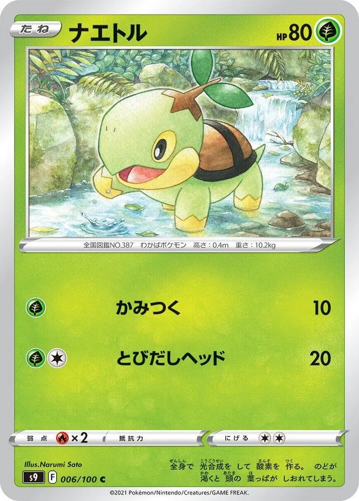 Front of Turtwig 6, スターバース Japanese
