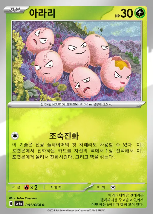 낙원드래고나 韓国語版 아라리 1 カード表面