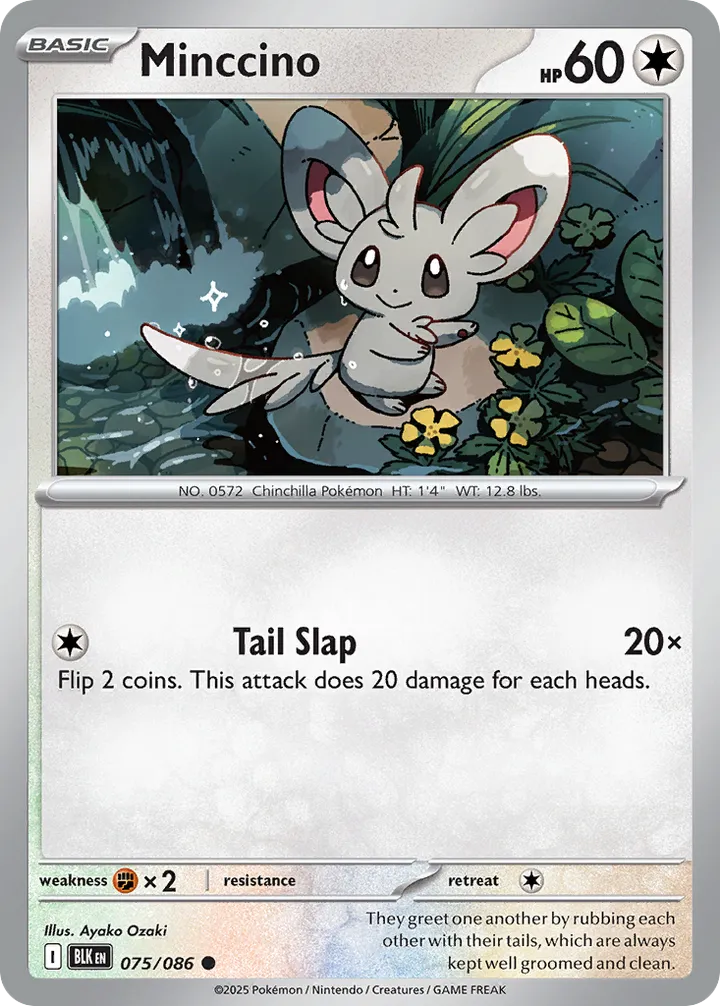 Scarlet & Violet—Black Bolt 영어판 Minccino 75 카드 앞면