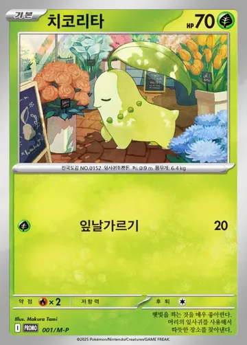 치코리타