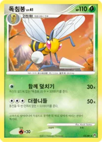 독침붕