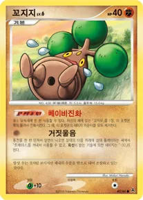 꼬지지 42