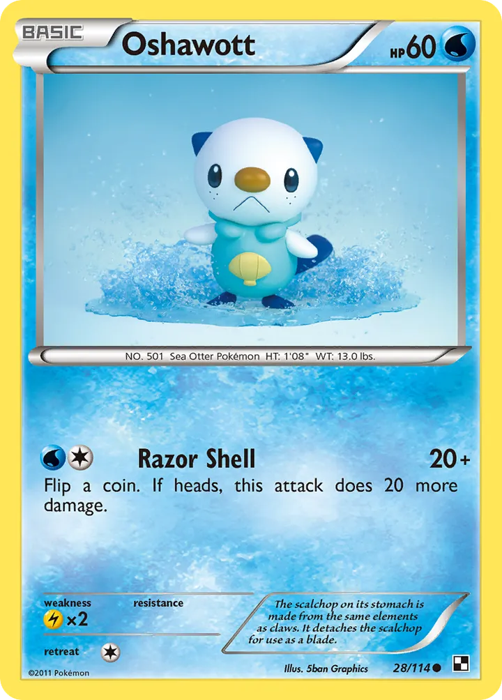 Black & White 영어판 Oshawott 28 카드 앞면