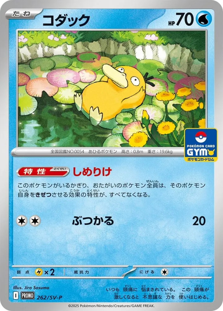 Front of Psyduck 262, SV-Pプロモーションカード Japanese