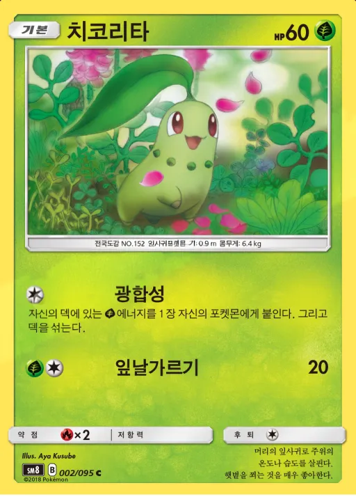 Front of 치코리타 2, 버스트임팩트 Korean