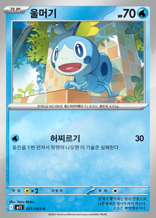 Front of 울머기 21, 메가심포니아 Korean