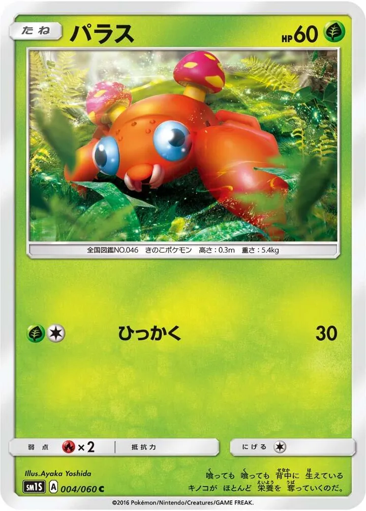 Front of Paras 4, コレクション サン Japanese