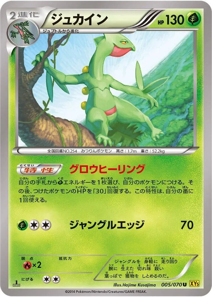 ガイアボルケーノ 일본판 ジュカイン 5 카드 앞면