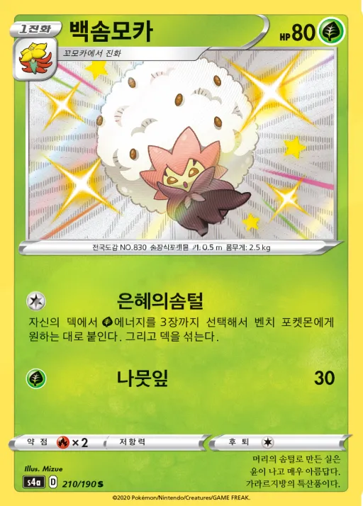 Front of 백솜모카 210, 샤이니스타 V Korean