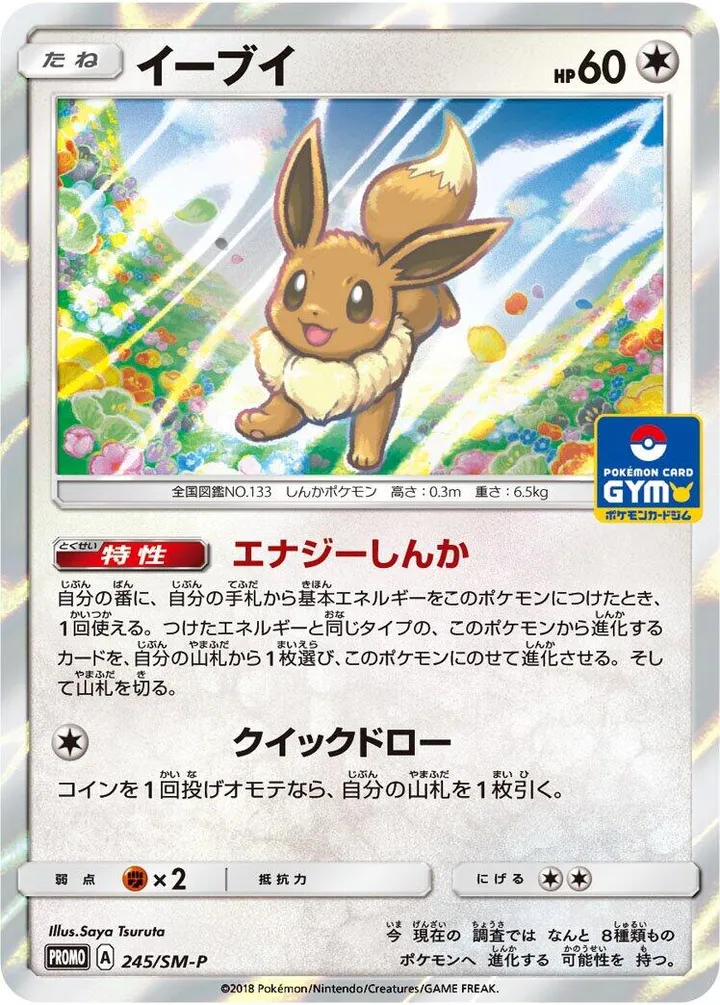 Front of Eevee 245, SM-Pプロモーションカード Japanese