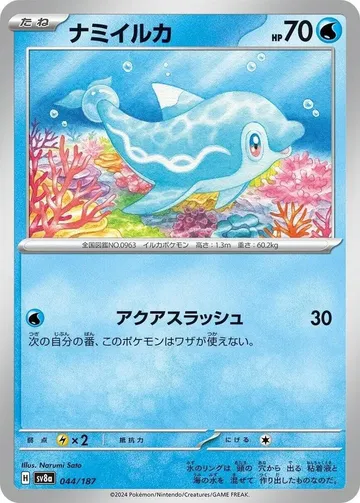ナミイルカ 44 ₩147