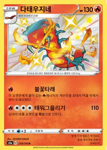 다태우지네