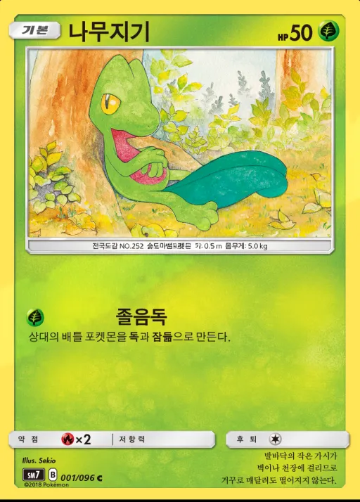창공의 카리스마 韓国語版 나무지기 1 カード表面
