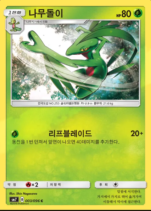 창공의 카리스마 韓国語版 나무돌이 3 カード表面