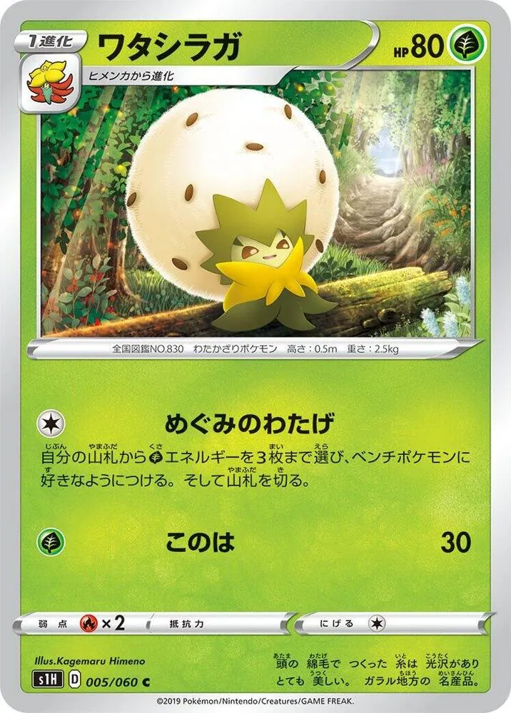 Front of Eldegoss 5, シールド Japanese