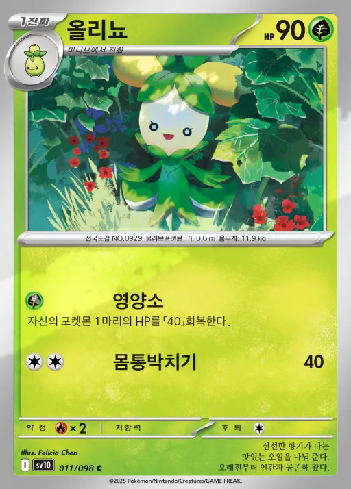 Front of 올리뇨 11, 로켓단의 영광 Korean