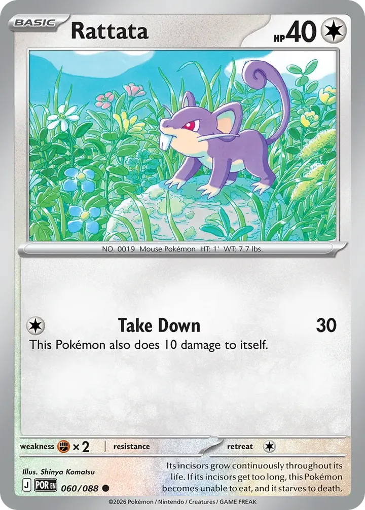 Mega Evolution—Perfect Order 영어판 Rattata 60 카드 앞면