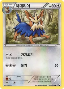 Front of 하데리어 43, 화이트 컬렉션 Korean