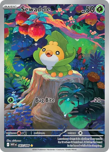 Sewaddle 87 $17.30