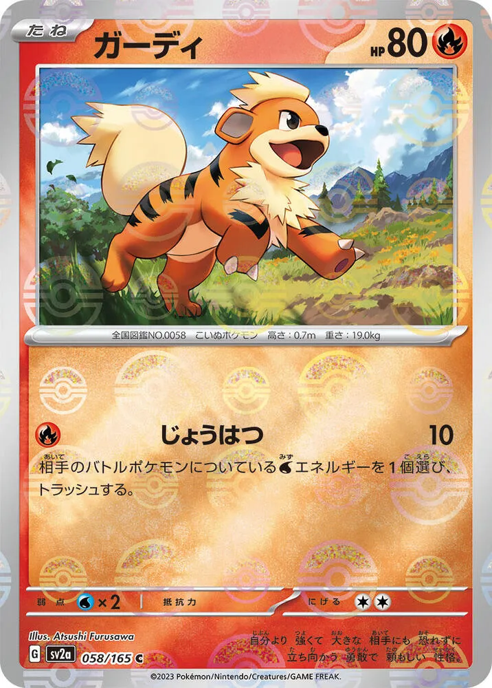 Front of Growlithe (Poke Ball Pattern) 58, ポケモンカード151 Japanese