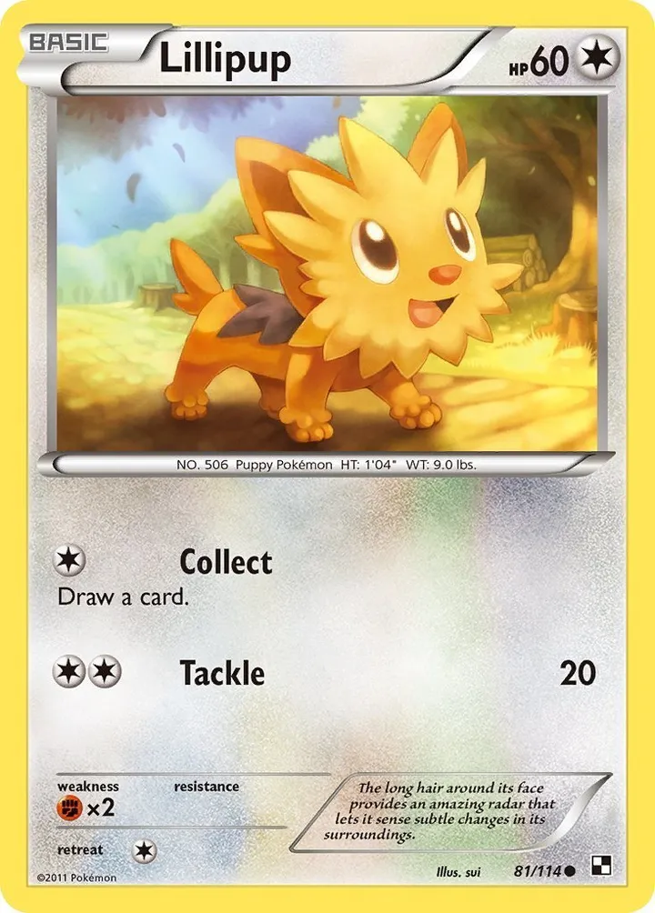 Black & White 영어판 Lillipup 81 카드 앞면