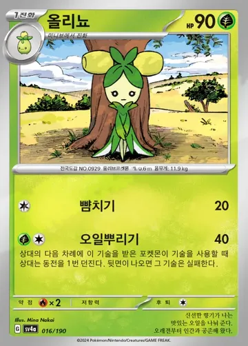 올리뇨 16 ¥24