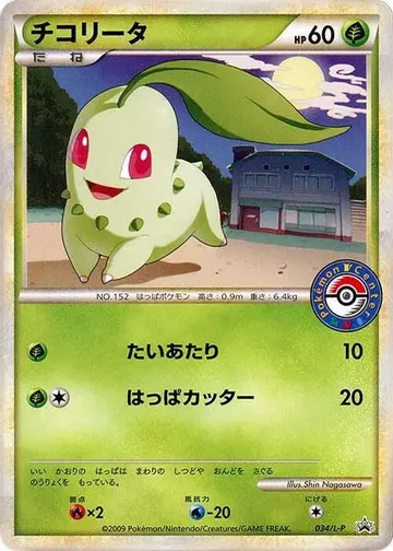 チコリータ 34 ₩268,081