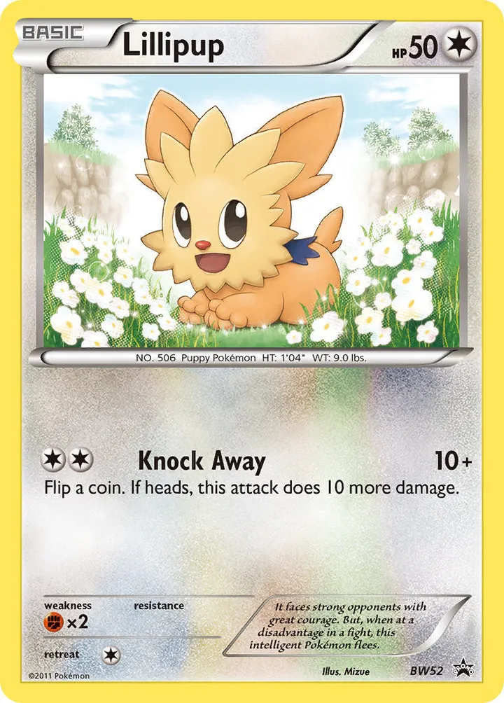 BW Black Star Promos 英語版 Lillipup BW52 カード表面