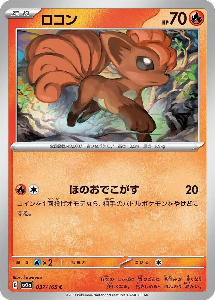 Front of Vulpix 37, ポケモンカード151 Japanese