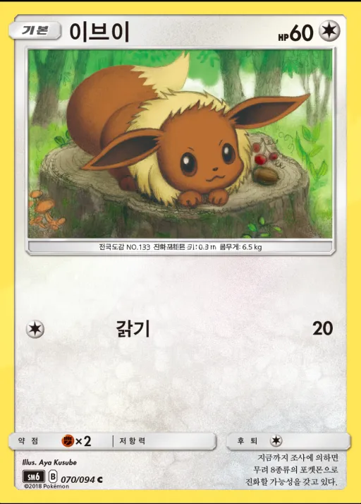 금단의 빛 韓国語版 이브이 70 カード表面