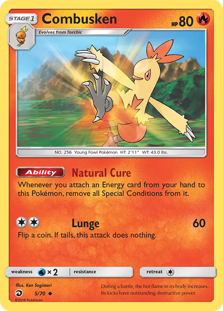 Dragon Majesty 영어판 Combusken 5 카드 앞면