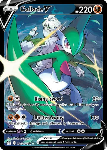 Gallade V TG19 ₩12,855