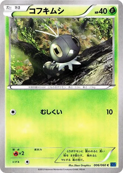 Front of Scatterbug 6, コレクションX Japanese