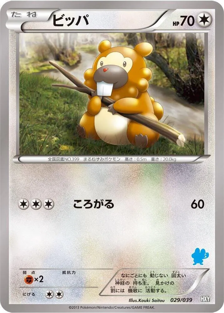 Front of Bidoof 29, はじめてセット/はじめてセット for ガール Japanese