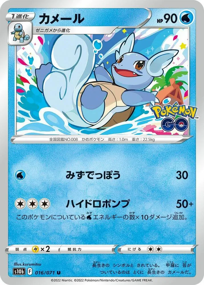 Front of Wartortle 16, Pokémon GO Japanese