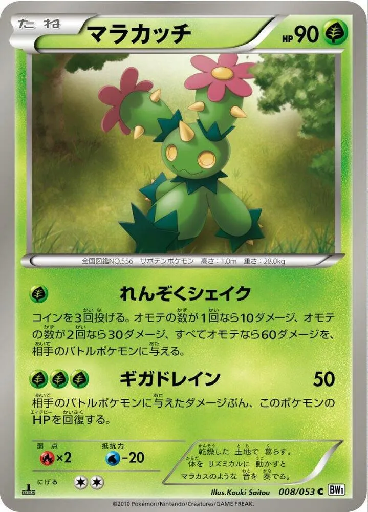 Front of Maractus 8, ホワイトコレクション Japanese