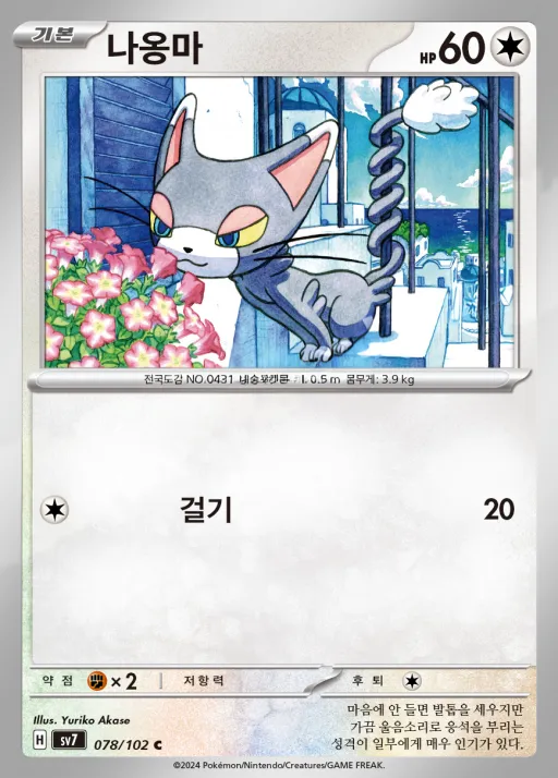 Front of 나옹마 78, 스텔라미라클 Korean