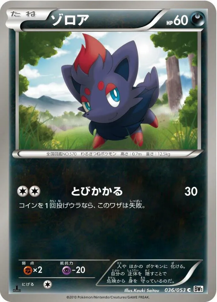 Front of Zorua 36, ホワイトコレクション Japanese