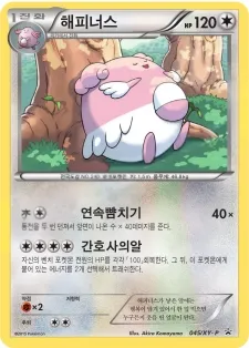 XY 프로모 카드 韓国語版 해피너스 45 カード表面