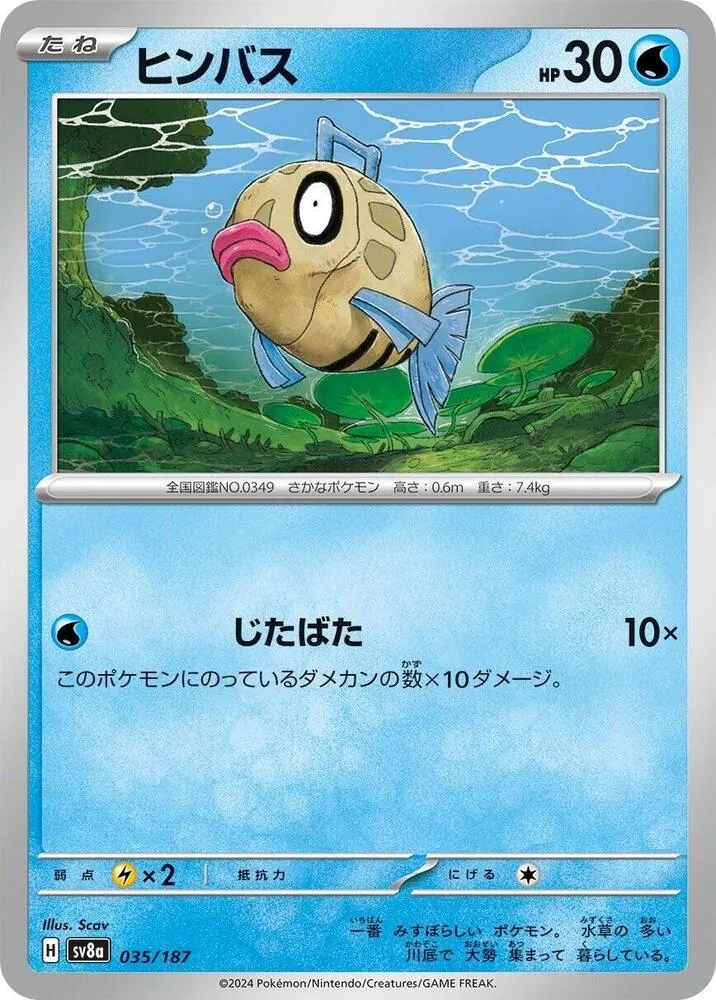 Front of Feebas 35, テラスタルフェスex Japanese