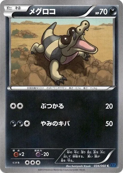 Front of Sandile 34, コレクションX Japanese