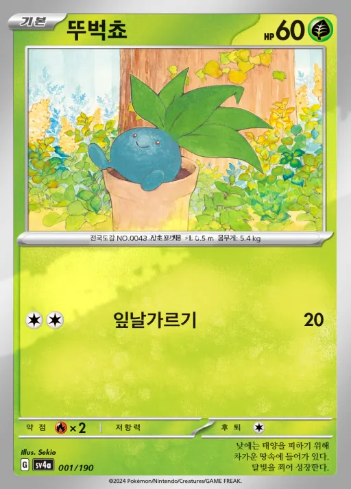Front of 뚜벅쵸 1, 샤이니트레저 ex Korean
