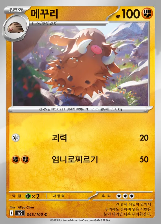 Front of 메꾸리 45, 배틀파트너즈 Korean