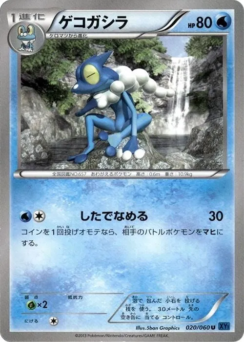 Front of Frogadier 20, コレクションX Japanese