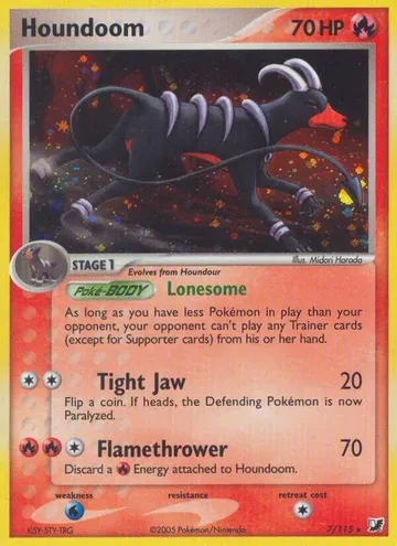 Houndoom 7 ₩105,441