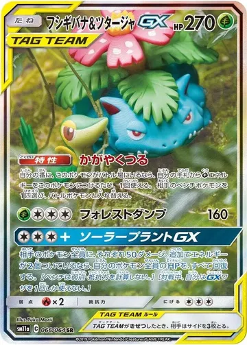 Venusaur & Snivy GX 66 $66.47