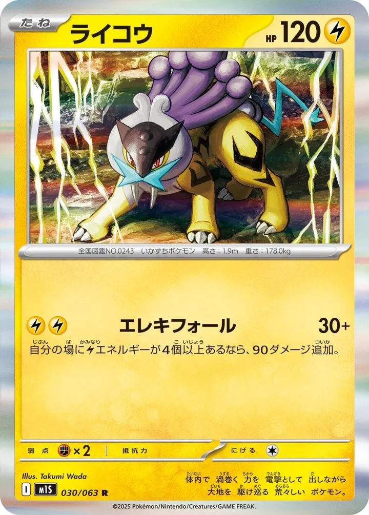 Front of Raikou 30, メガシンフォニア Japanese