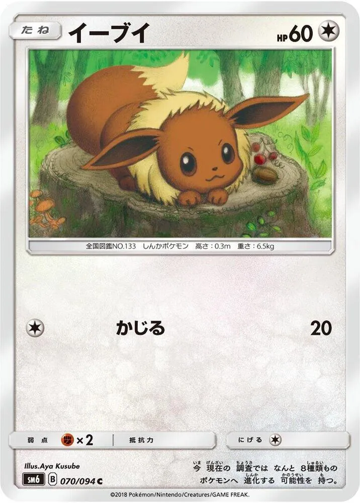 Front of Eevee 70, 禁断の光 Japanese
