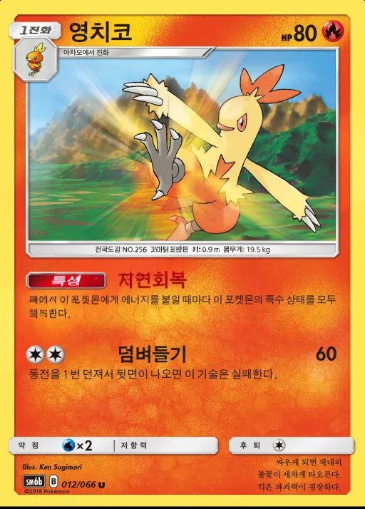 Front of 영치코 12, 챔피언로드 Korean