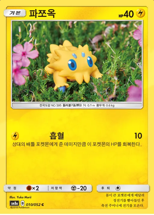 Front of 파쪼옥 10, 다크오더 Korean
